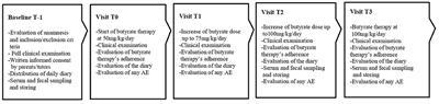 Step-Up Approach for Sodium Butyrate Treatment in Children With Congenital Chloride Diarrhea